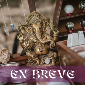 Productos para el Hogar